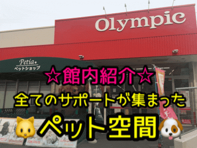 【20周年特別企画・店舗ツアー】すべてのサポートがつまったペット空間マルワン大倉山店の魅力をご紹介!（子犬・子猫・動物病院・ドッグラン・トリミング・ペットホテル）