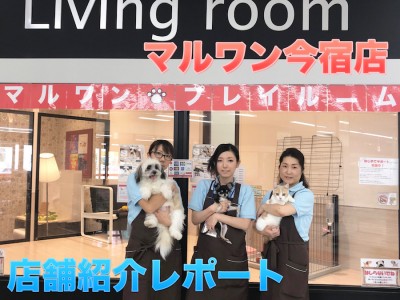 【20周年特別企画・店舗ツアー！】トリミング＆犬の幼稚園も併設！ペットと共に歩む愛が詰まったマルワン今宿店♥｜横浜市旭区