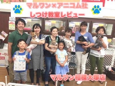 【アフターサポート・しつけ教室】定期開催！マルワン×アニコム損保しつけ教室レビュー！参加してくれたみんなありがとう♪：ペットショップマルワン相模大塚店（大和市）｜イベント情報