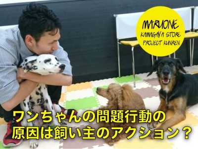 【 わんこのしつけ 】ワンちゃんの問題行動の原因は飼い主さんのアクション！？ プロジェクト訓練 VOL.15 マルワン鎌ヶ谷店 (千葉県鎌ケ谷市)