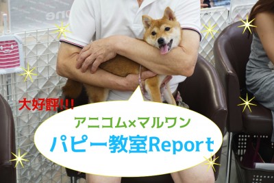 【 パピー教室 開催報告！】アニコム損保&マルワンコラボイベント！大倉山店編