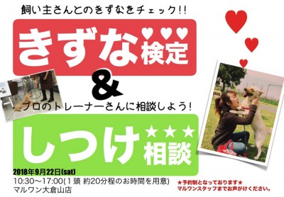 【 9.22大倉山店FESTIVAL開催！情報その2 】「しつけ相談会＆きずな検定＆パピー教室」〜アニコム損保協力〜 ペットショップマルワン大倉山店フェス開催！ペティアポイントも2倍！
