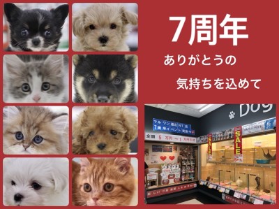 【イベント情報 】マルワン港北NT店7周年記念！店舗限定イベント告知！