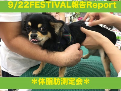 【9.22大倉山店フェスレポート其の2】約半数のワンちゃんが肥満体型?!愛犬の適正体型ってご存知ですか?「体脂肪測定編」