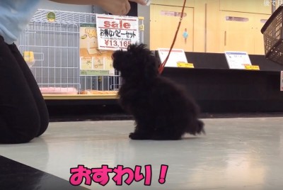 スーパーセール特別企画：マルワン志村坂下店はこんな店！