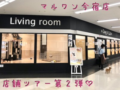 【 今宿店店舗ツアー 】ペットにも人にも優しい愛情たっぷりの今宿店をご案内！