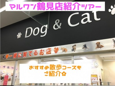 【 マルワン鶴見店紹介ツアー 】おすすめの散歩コースもご紹介!!