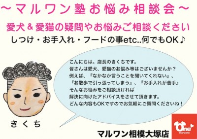 【 マルワン塾相談室 】店長菊池へご相談コーナー！ペットの疑問を解決Vol.1