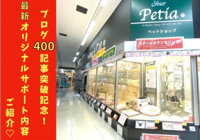 【 大倉山店特別号 】ブログ400記事突破記念！最新オリジナルサポート内容公開！