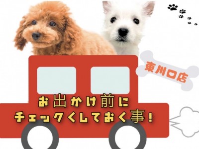 【 愛犬とおでかけ 】お出かけする前のチェック事項とドライブを楽しむためのコツ