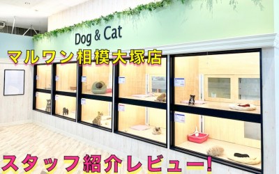 【 店舗紹介 】相模大塚店のスタッフをご紹介♪ペットとの馴れ初めもお話！