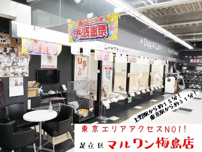 【 店舗紹介 】マルワン東京エリアで一番アクセスがいい店舗！ マルワン梅島店