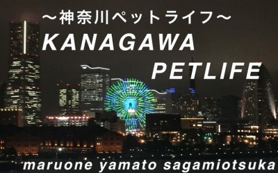 【 神奈川ペットライフ 】バックナンバー・まとめ