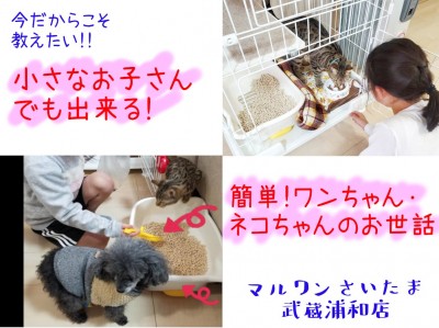 【 お役立て 】小さなお子さんでも出来る！簡単な子犬・子猫のお世話の仕方！！