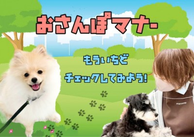 【 お散歩マナー 】愛犬の身は飼い主様が守ろう！いつものお散歩を振り返ってチェック！