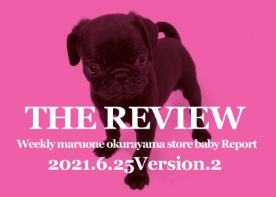 【 大倉山THE REVIEW ＃04 】6/25版わんにゃんこ速報！PART2