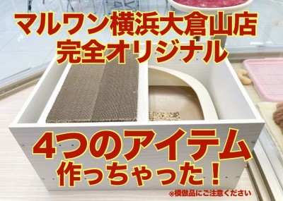 【 大倉山店オリジナル 】猫トイレカスタム・ニャンモック・おもちゃ作りました！