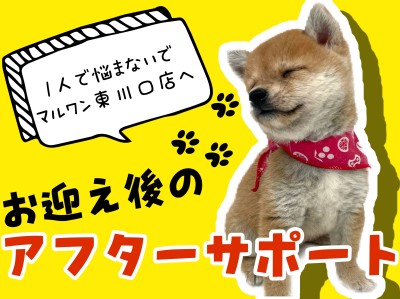 【 マルワン東川口店NMTサポート 】楽しいワンライフをお届け！遠方の方も安心！