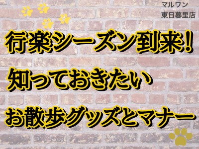 【 おでかけマナー 】行楽シーズン真っ最中！必要なアイテムと守るべきマナーは？