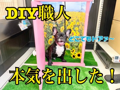 【 5/27映えスポット 】DIY番長が本気を出してきたの巻！