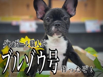 【 5/13俺の愛車 】ダンボール職人の工作タイム！ブルゾウ号作っちゃったの巻！