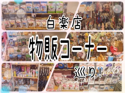 【 商品紹介 】マルチサービスのマルワン横浜白楽店が厳選した抜群のグッズ紹介！