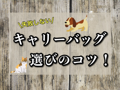 【 グッズ紹介 】おでかけや通院に必須なキャリーバッグ選びのポイントをご紹介！