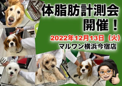 【 今宿店イベント情報 】12/13(火)ワンちゃんの体脂肪計測会のお知らせ！