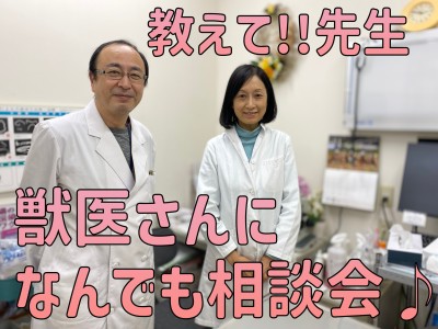 【 無料相談会 】教えてナイスボイス先生！獣医さんに気軽に相談！