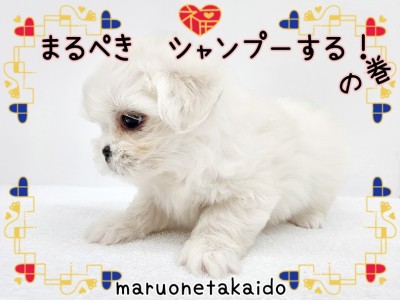【 Mix 】まるぺきシャンプーする！の巻！