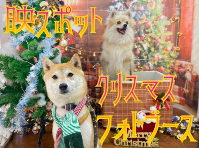【 クリスマスフォト 】好評のフォトブースで思い出つくり！！