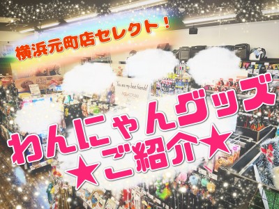 【 犬猫グッズ 】横浜元町店セレクト！わんにゃんグッズ紹介！！