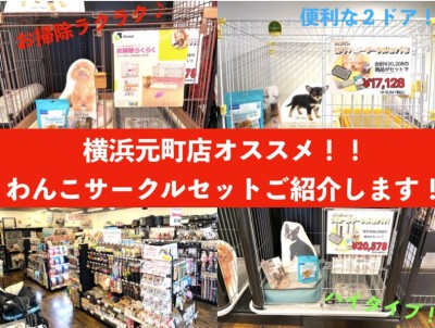 【 商品レビュー 】わんちゃんお迎えの強い味方！元町サークルセットご紹介！！