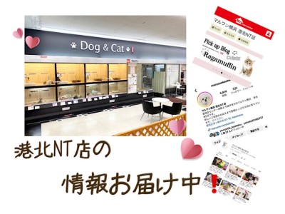 【 店舗情報 】マルワン横浜 港北NT店の配信情報