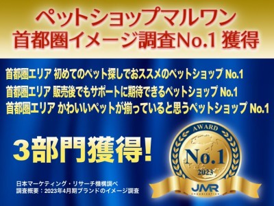 【 イメージ調査 】2023年4月首都圏エリアリサーチにおいてマルワンが3部門のNo.1を獲得！