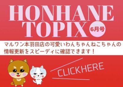 【 HONHANE トピックス6月号 】マルワン本羽田店の6月の情報をチェック！