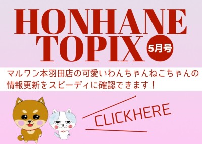 【 HONHANE トピックス5月版 】マルワン本羽田店の5月の情報配信を確認！