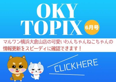 【 OKURAYAMA トピックス6月版 】マルワン大倉山店の6月の情報配信を確認！