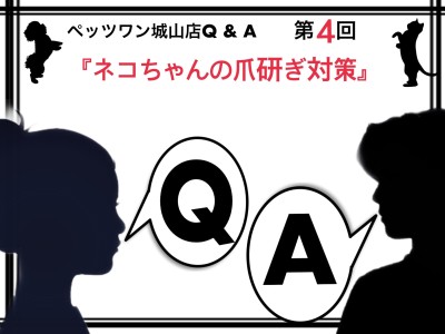 【 ペッツワン城山店Q＆A 】第4回『ネコちゃんの爪研ぎ対策』