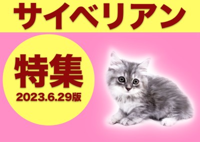 【 サイベリアン特集 】6/29現在在店中の低アレルゲンCAT！サイベリアン特集