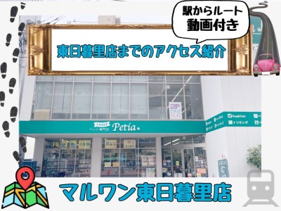 【 店舗アクセス 】アクセス最強店舗！アットホームペットショップ東日暮里店