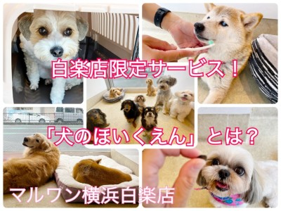 【 犬のほいくえん 】白楽店限定！わんちゃん同士の社会化を身に付けよう！