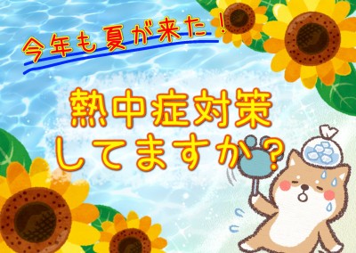 【 商品レビュー 】今年も猛暑！わんちゃんねこちゃんの熱中症対策！！