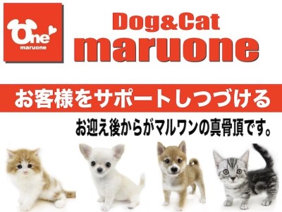 【 サポート 】業界屈指！マルワンの真骨頂はお客様を徹底サポートしつづけること。