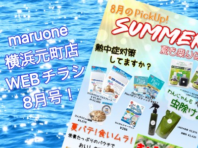 【 商品案内 】横浜元町店WEBチラシ8月号！