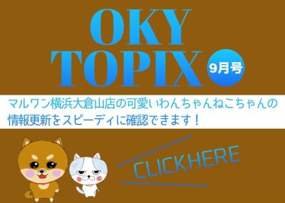 【 OKURAYAMA トピックス9月版 】マルワン大倉山店の9月の情報配信を確認！