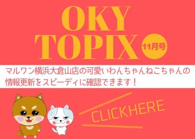 【 OKURAYAMA トピックス11月版】マルワン大倉山店の11月の情報配信を確認！