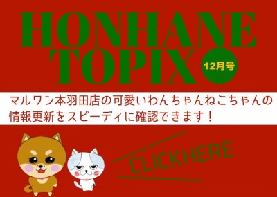 【 HONHANEトピック12月号 】マルワン本羽田店の12月の配信情報！