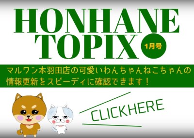 【 HONHANEトピックス1月号 】マルワン本羽田店の1月の配信情報！