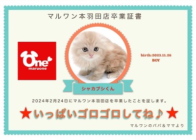 【 卒業記念 】シャカブシくん卒業おめでとう！今までの感謝を込めて〜卒業ブログ〜